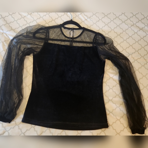 Velvet with sheer long sleeve blouse - Picture 2 of 5